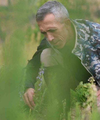 Beş dönümlük dağlık araziyi, tıbbi aromatik bitki bahçesine çevirdi