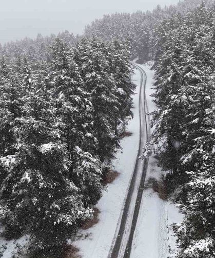 Bolu'nun yüksek kesimlerinde lapa lapa kar: Yaylalar ve Kartalkaya beyaza büründü