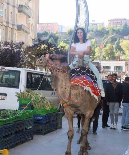Hakkari'de deve ve midilli atları ilgi odağı oldu