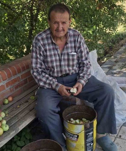 Hisarcık'ta elma kurusu fiyatı düştü, üretici yükseliş bekliyor