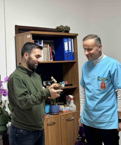 Ölmek üzere olan ineğin boğazından çıkartılan armut, üniversite öğrencilerine anlatılacak