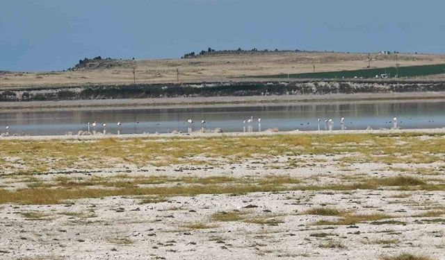 Kuş cenneti Arin Gölü’nde kuraklık tehlikesi
