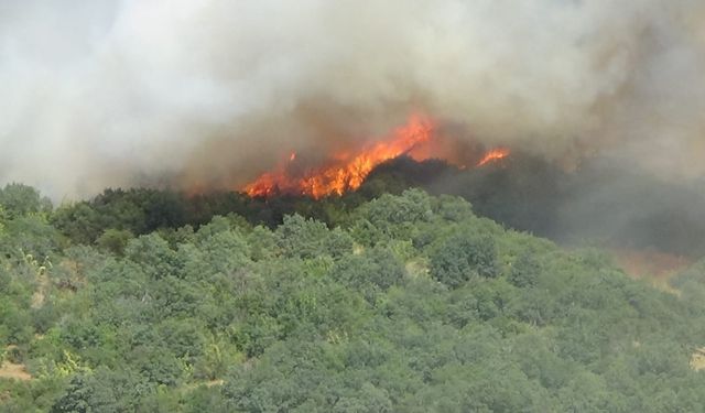Çanakkale Valiliği’nden orman yangınlarına karşı uyarı