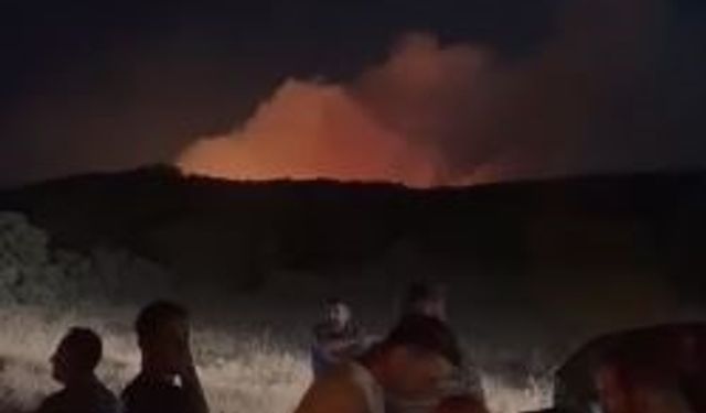 Elazığ’da orman yangını kontrol altına alındı