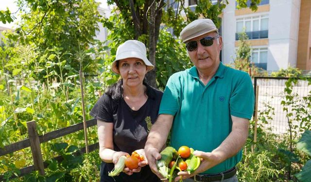Emekli çifti Gönüllü Bahçesinde 26 çeşit ürün elde etti