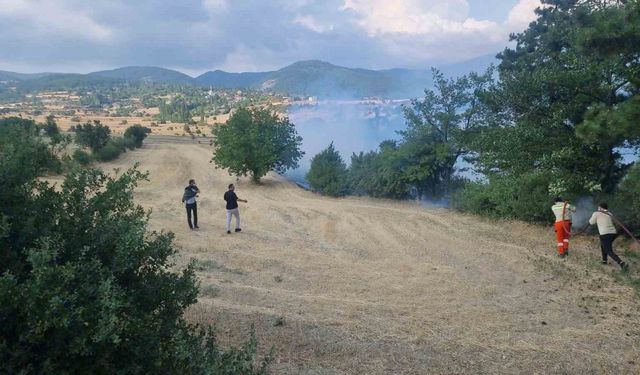 Kütahya Domaniç’teki anız yangını ekiplerin hızlı müdahalesiyle büyümeden kontrol altına alındı