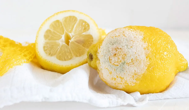 Limonları taze tutmanın yöntemleri
