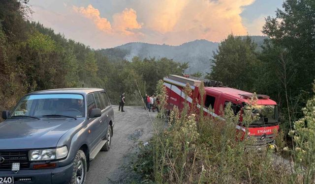 Ormanlık alanda çıkan yangın paniğe neden oldu