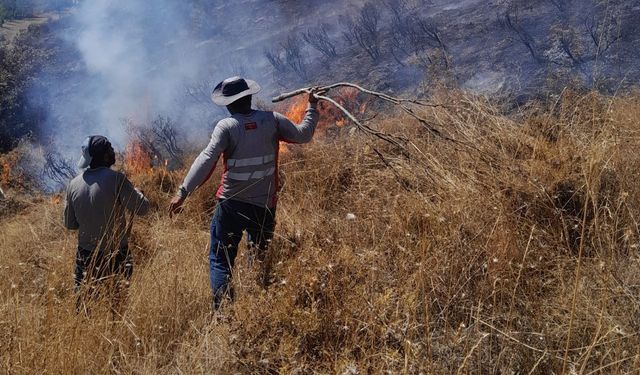 Tunceli’deki yangın ormanlık alana sıçramadan söndürüldü