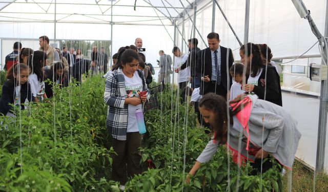 16 Ekim Dünya Gıda Günü'nde bir araya gelen öğrenciler hasat yaptı