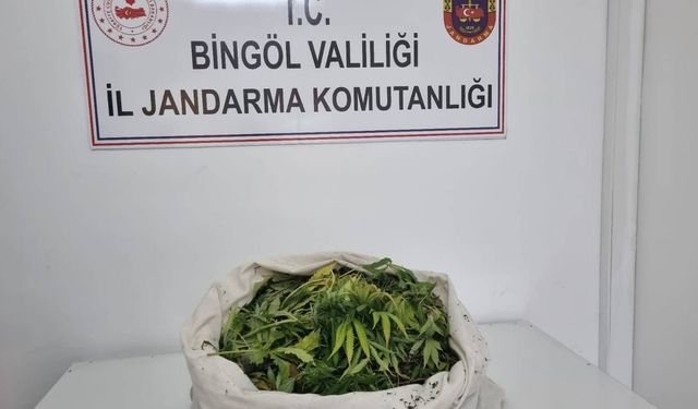 Bingöl’de uyuşturucu operasyonu