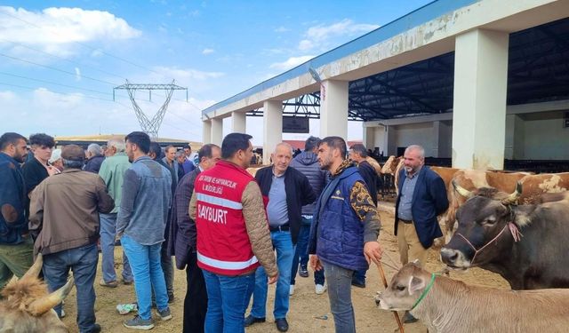 Tarım ekibi çiftçileri canlı hayvan pazarında bilgilendirdi