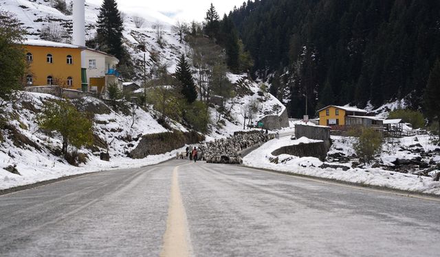 Rize’nin karlı yaylalarından kartpostallık görüntüler