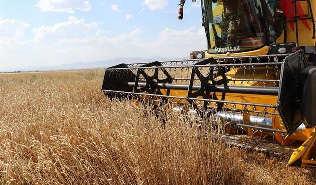 Erzurum'da tarıma tohum ve fide desteği