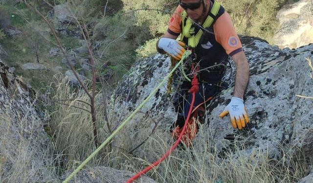 5 gündür kayalıklarda mahsur kalan keçi AFAD ekiplerince kurtarıldı