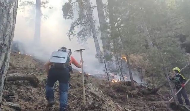 Denizli’deki orman yangınını söndürmek için vatandaşlar seferber oldu