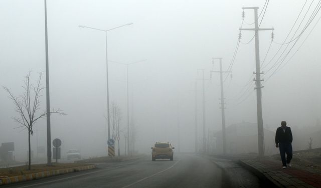 Erzincan'da yoğun sis: Görüş mesafesi 30 metreye kadar düştü