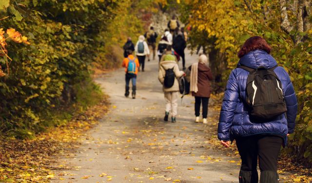 Gümüşhane'de sonbahar tüm ihtişamıyla devam ediyor