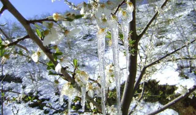 Muğla'ya yağmur sonrası soğuk hava uyarısı