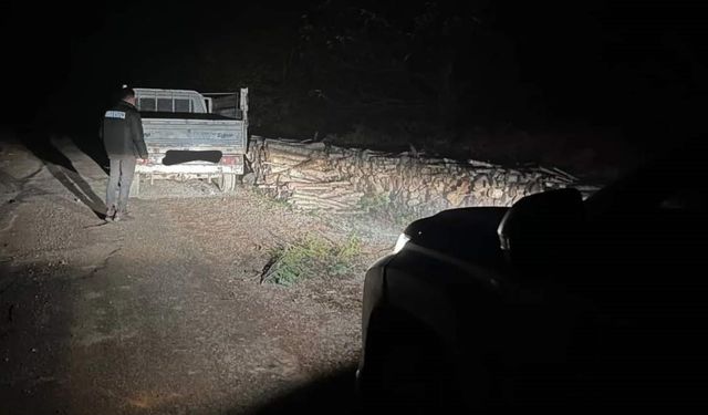 Kamyonetle odun çalmaya çalışan şahıs yakayı ele verdi