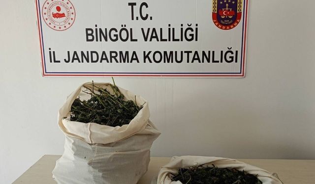 Bingöl'de 7 kilo esrar ele geçirildi