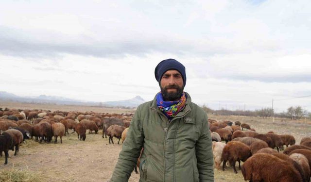 8 aydır memleketten ayrı olan sürüler Iğdır’a geri döndü