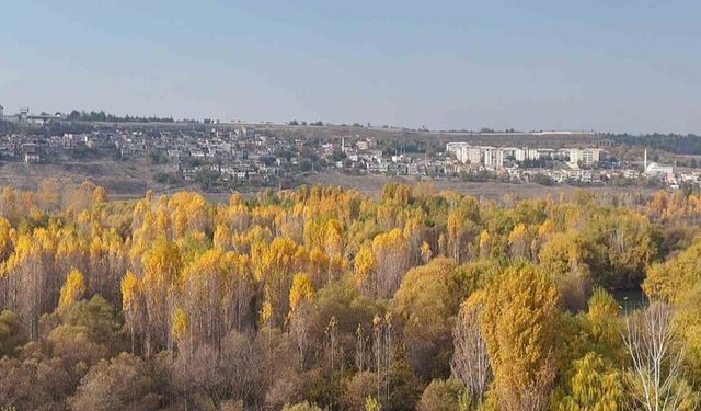 8 bin yıllık Hevsel Bahçeleri’nde renk cümbüşü dron ile görüntülendi