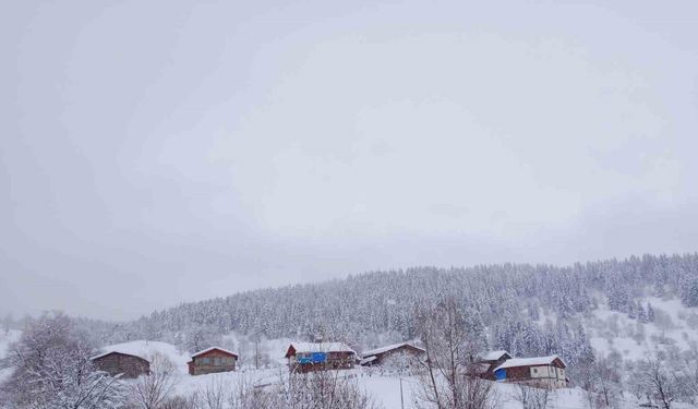 Artvin’de kar kalınlığının 1 metreyi bulduğu köyde gece gündüz çatı temizleniyor