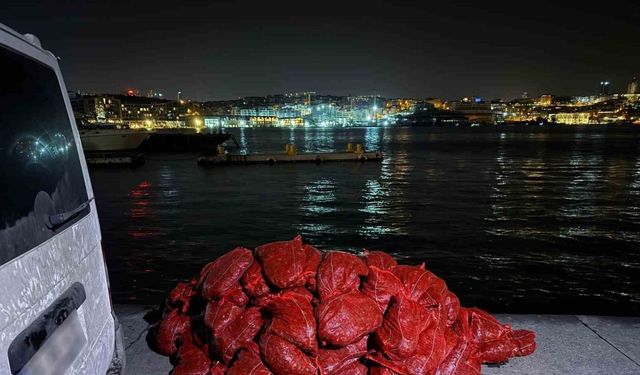 Beyoğlu’nda 3 ton kaçak midye ele geçirildi