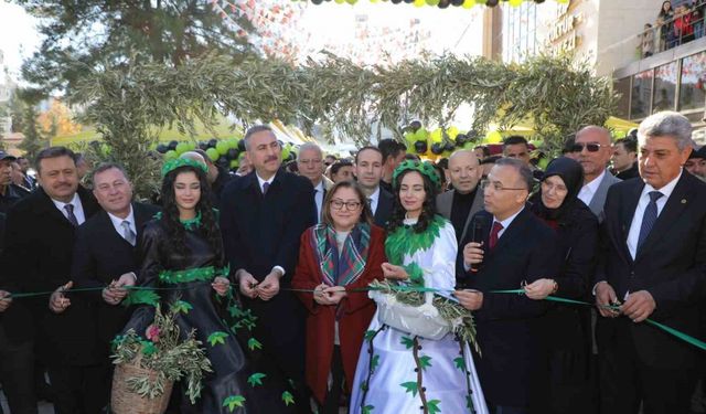 Gaziantep Zeytin Festivali başladı