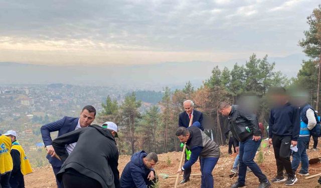 Kahramanmaraş’ta denetimli hükümlüler fidan dikti