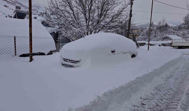 Tunceli’de kar esareti: 189 köy yolu ulaşıma kapandı