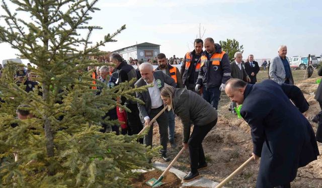 Yaslıkaya: “Kastamonu ormanlarının 23,5’i ağaçlandırmalarla elde edilmiştir”