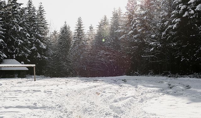 Meteoroloji’den 3 il için kar uyarısı