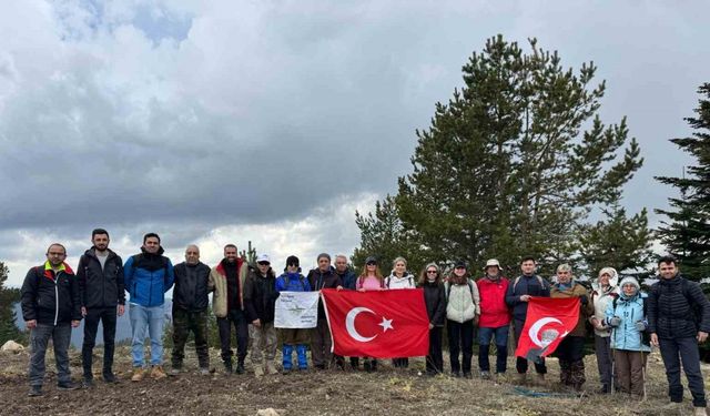 Bin 900 rakımlı dağın zirvesinde Türk Bayrağı açtılar