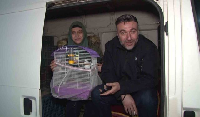 Depremin ardından kimisi çadırda, kimisi kamyonet kasasında geceyi geçiriyor