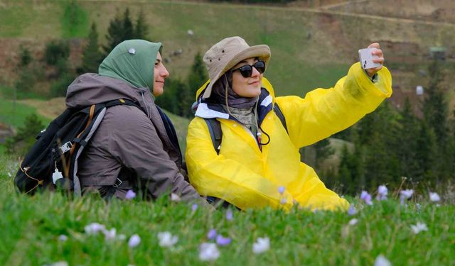 Gümüşhane’nin mor sümbül cenneti Damlı Köyü