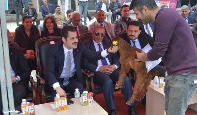 Iğdır’da güzellik yarışması düzenlendi