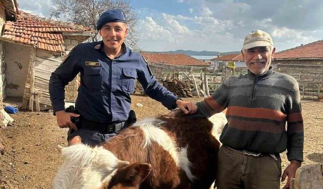 Jandarma kayıp büyükbaş hayvanı bularak sahibine teslim etti