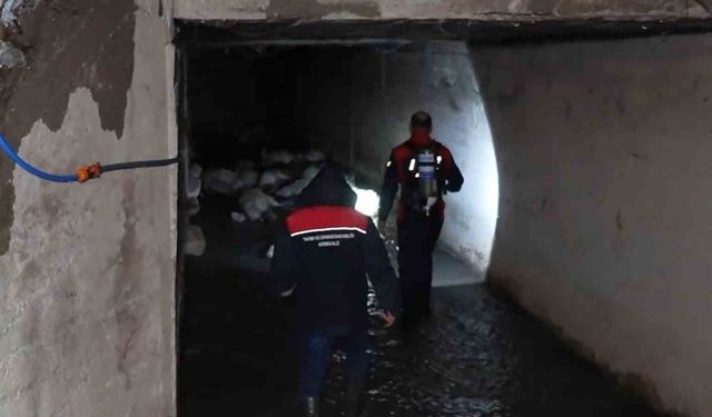 Kırıkkale’de "koku" faciası: 23 küçükbaş hayvan telef oldu, 77’si son anda kurtarıldı