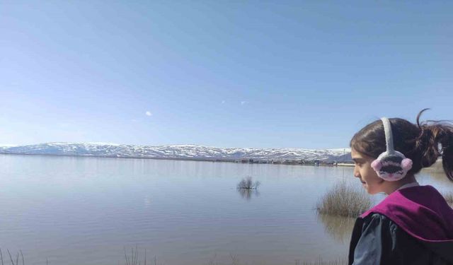 Kura Nehri taştı: Ardahan Ovası göle döndü