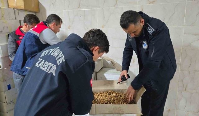 Şanlıurfa’da 11 ton kurtlanmış ceviz içi ele geçirildi