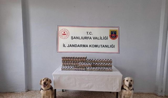 Şanlıurfa’da bin 720 paket kaçak sigara ele geçirildi