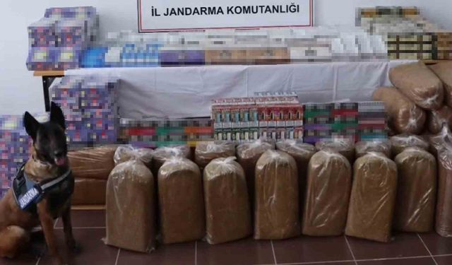 Tütün arama köpeğiyle tırda yapılan aramada çok sayıda kaçak ürün ele geçirdi
