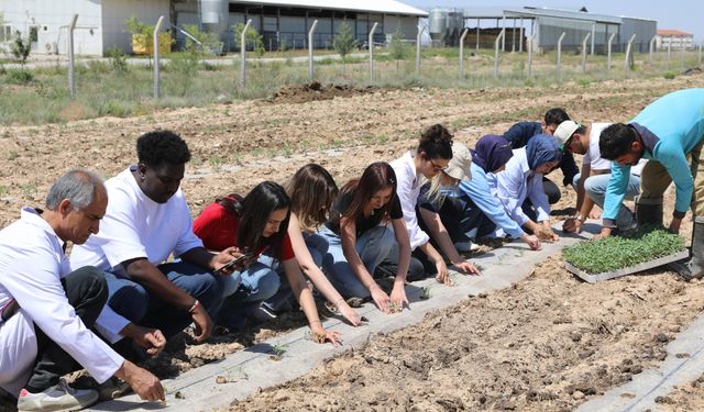 NÖHÜ, Niğde bağlarını yeniden canlandırıyor