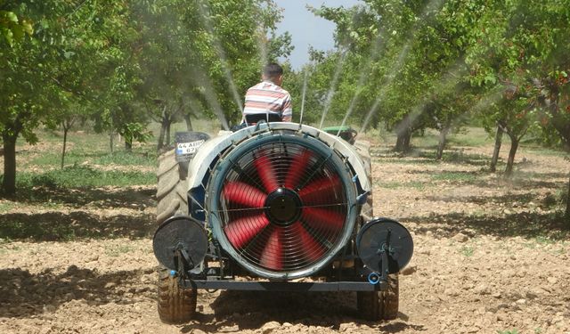 Malatya'da yeniden yeşeren kayısı ağaçları çiftçileri umutlandırdı