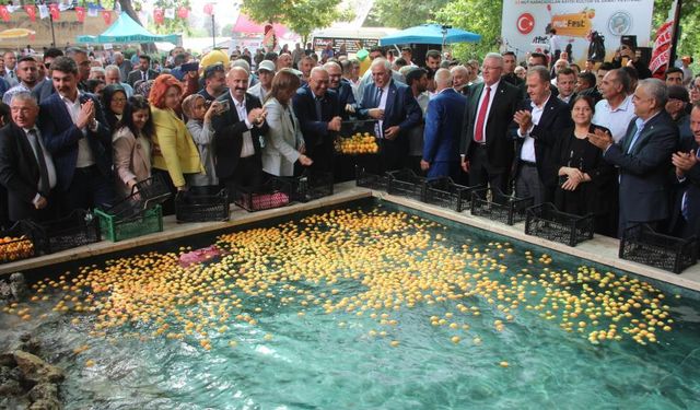 Mut Karacaoğlan ve Kayısı Festivali coşkulu başladı
