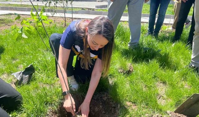 Ağrı’da "Cilt Kanseri Farkındalık Ayı" kapsamında fidan dikimi etkinliği düzenlendi