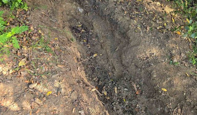 Ailesinin kayıp ihbarı cinayeti ortaya çıkardı