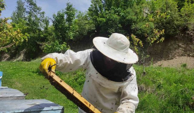 Ardahan’da arıcılar yeni sezona hazırlanıyor
